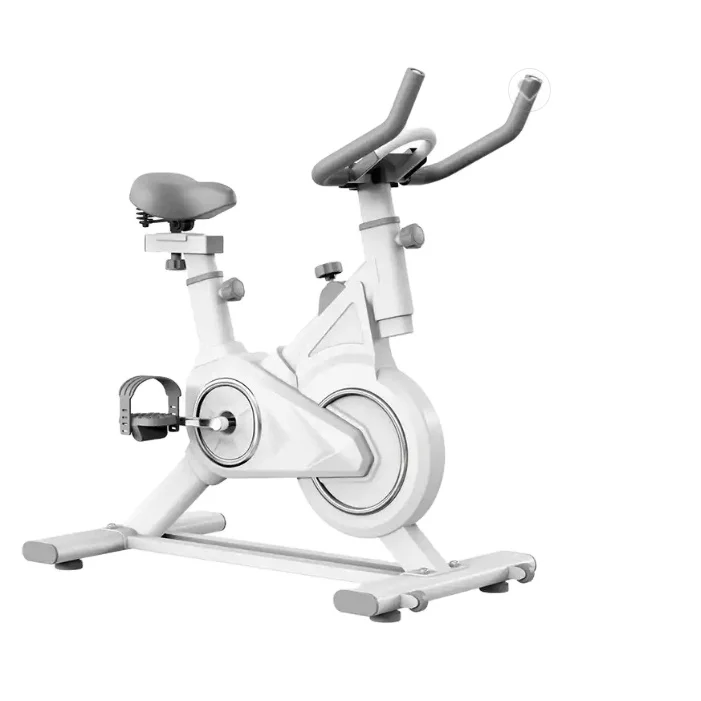 Magnetic Resistance Indoor Cycling Bike,Belt Drive Indoor Exercise Bike Stationary Lcd Monitor