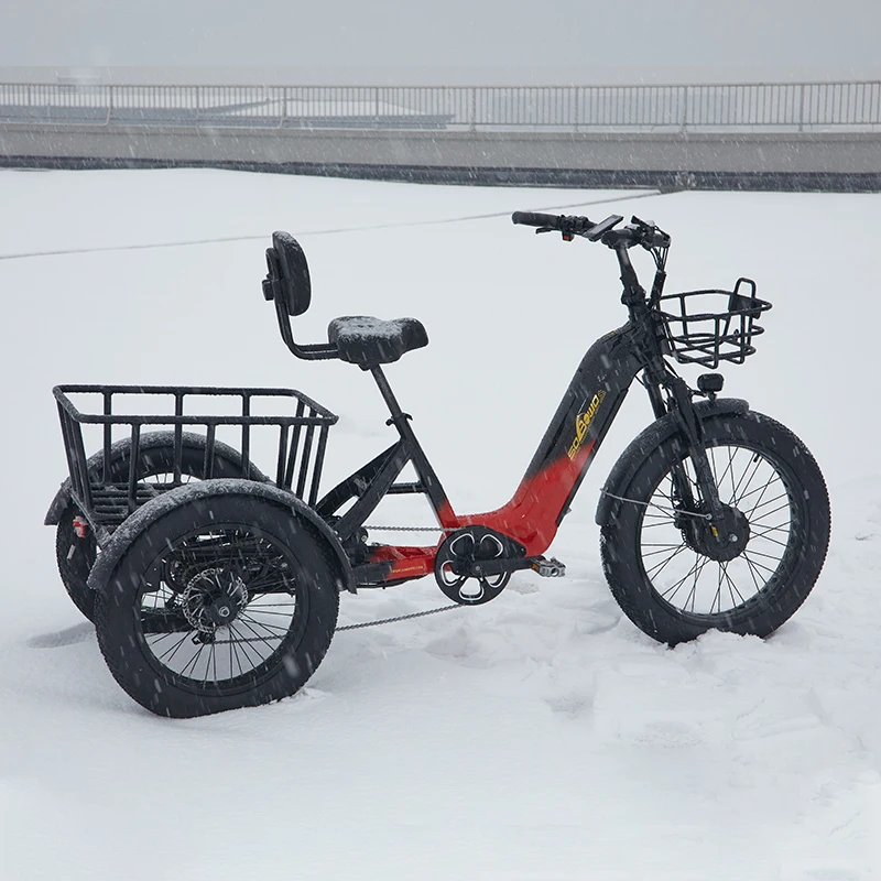 Super Factory torque sensor electric tricycle 2000w dual motor electric trike 40ah hidden battery etrike for adults