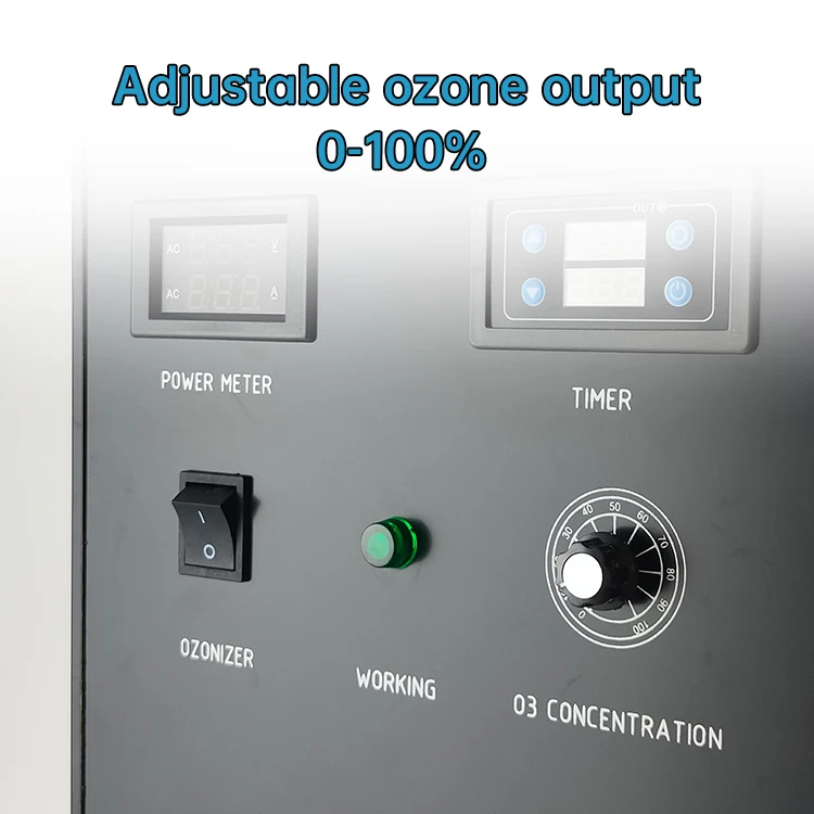Factory Price  20G Ozone Generator For Water Treatment generador de ozono de agua