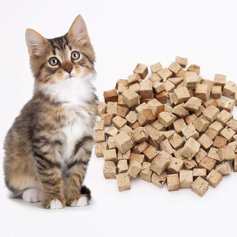 Hot pet food wholesale freeze-dried raw bone meat cat snacks beef chicken patties dog cat food dog treats