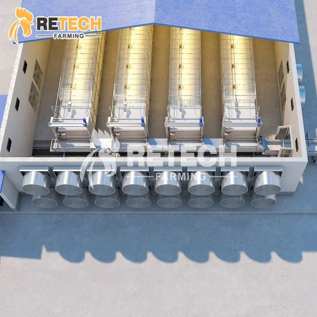Automatic Poultry Farm Equipment Battery Cage for Broiler