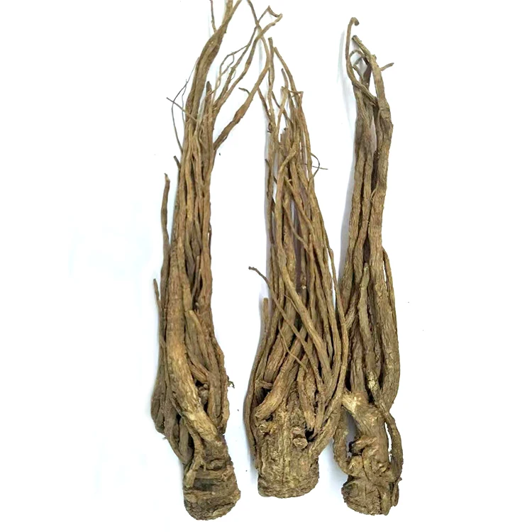 
Chinese Herbs Medicine Radix Angelica 