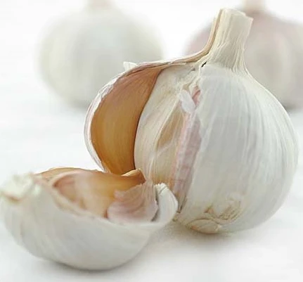 
factory supply buy discount newest crop proven quality first delivery natural sun dried white garlic 