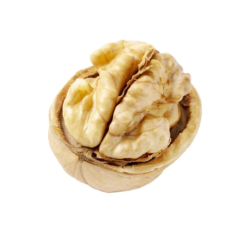 Qili brand factory direct sale walnut with shell Wholesale shelled walnut for daily diet Hot sale Natural walnut