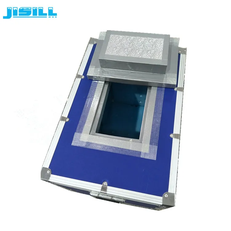 Mobile hard plastic coolest insulated ice cream truck with PCM ice bricks