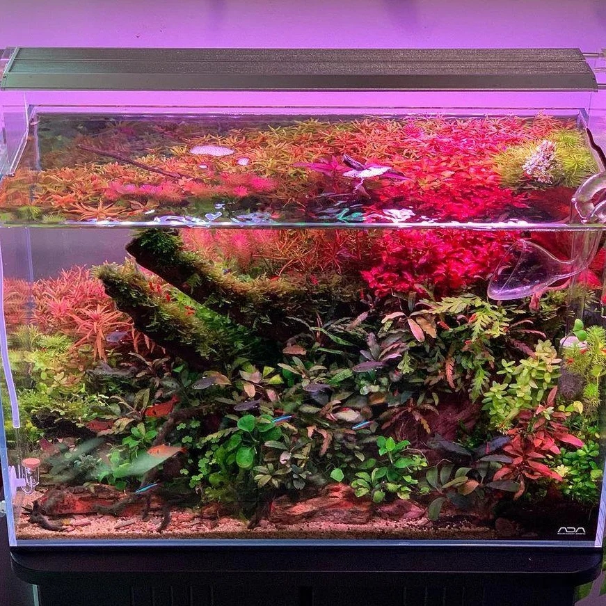 Аквариумный светодиодный светильник WEEK AQUA M Series Mustang RGB + UV 3 фута освещение для аквариума выращивания