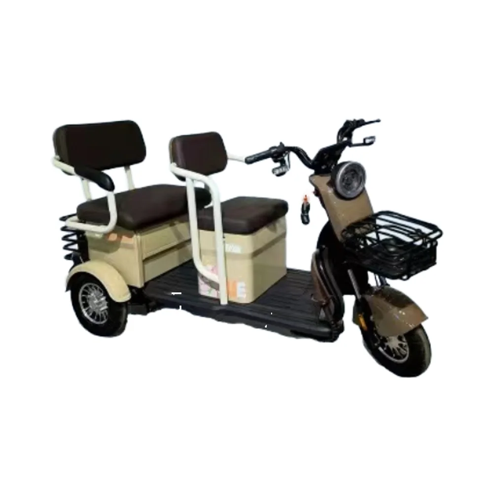 Multi-purpose Electric Three-wheel Vehicle 48V Open Body for Passenger or Cargo Use Three-wheel Electric Vehicle LED Light Eec