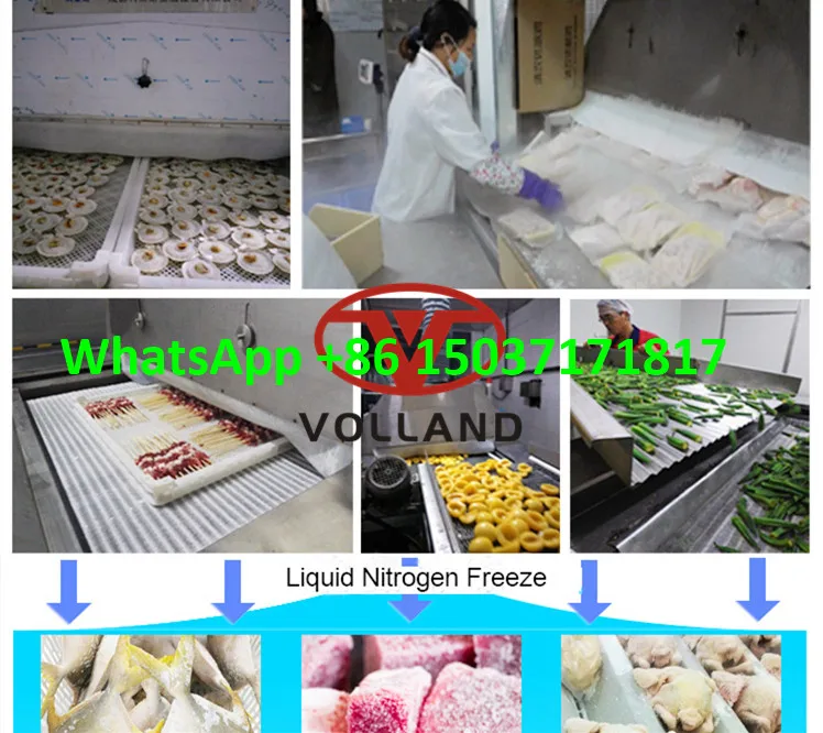 iqf tunnel freezer/stainless belt quick freezer for lobster/Strawberry Tunnel Liquid Nitrogen Freezer