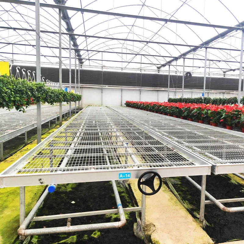 4x8 Ebb Flow System Indoor Hydroponic Culture Movable Rolling Bench Grow Table Seedbed For Plant Growing