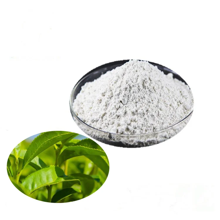 
High Quality Organic Green Tea Extract Theanine 50%-98% with Fast Shipping 