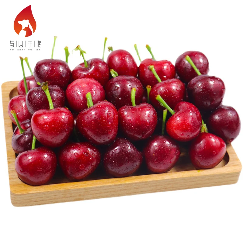 Sweet And Juicy Fresh Cherries Fruits Fresh Dark Red Cherries For Sale