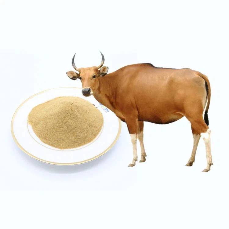 High quality High Protein 60% Best Selling Extract From fresh Yeast powder