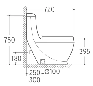 Water Saving Siphon Flushing Water Closet Ceramic Sanitary Ware One Piece Toilet (HZ5593)