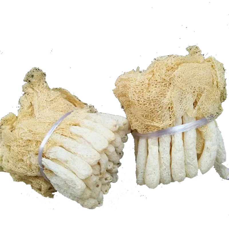 Лидер продаж сушеный бамбуковый гриб Dictyophora Indusiata питательные грибы