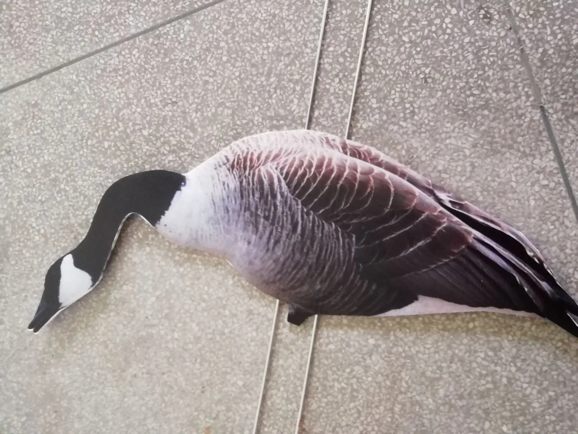 Canada goose silhouette decoy customized plastic corrugated decoy manufacturer