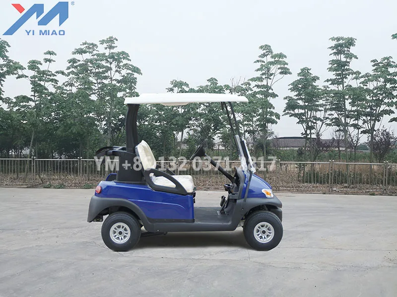 Factory prices   2 seater mini electric golf carts for sell