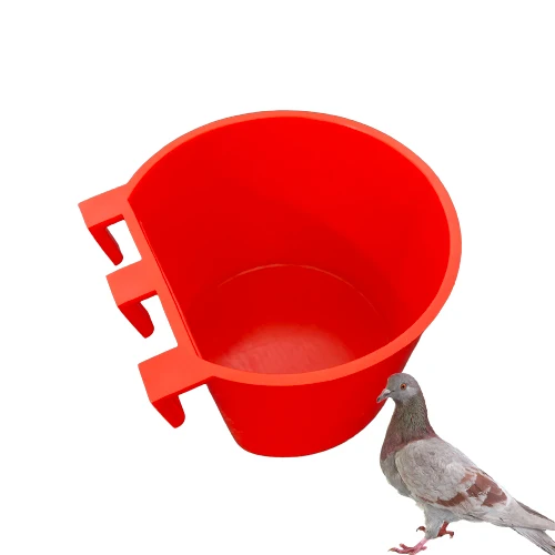 Poultry Husbandry Equipment Pigeon Quail Dove Drinker Cup For Pigeon Feeding