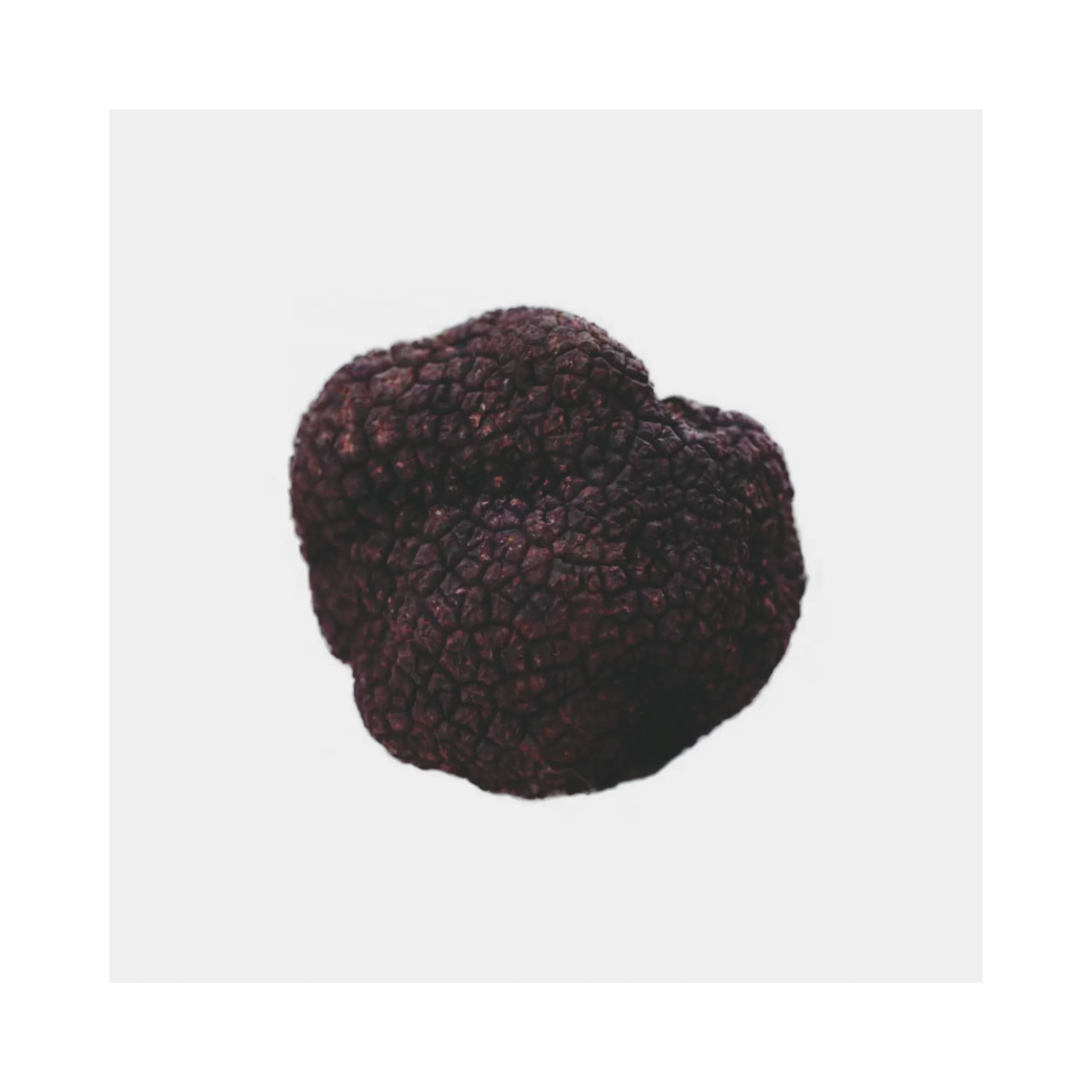 Delicious canned black truffle products