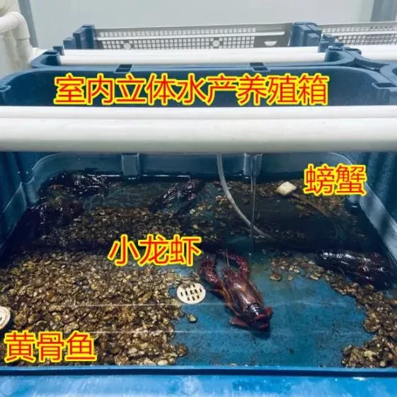 Indoor mud crab farm system crab box house farming boxes equipment