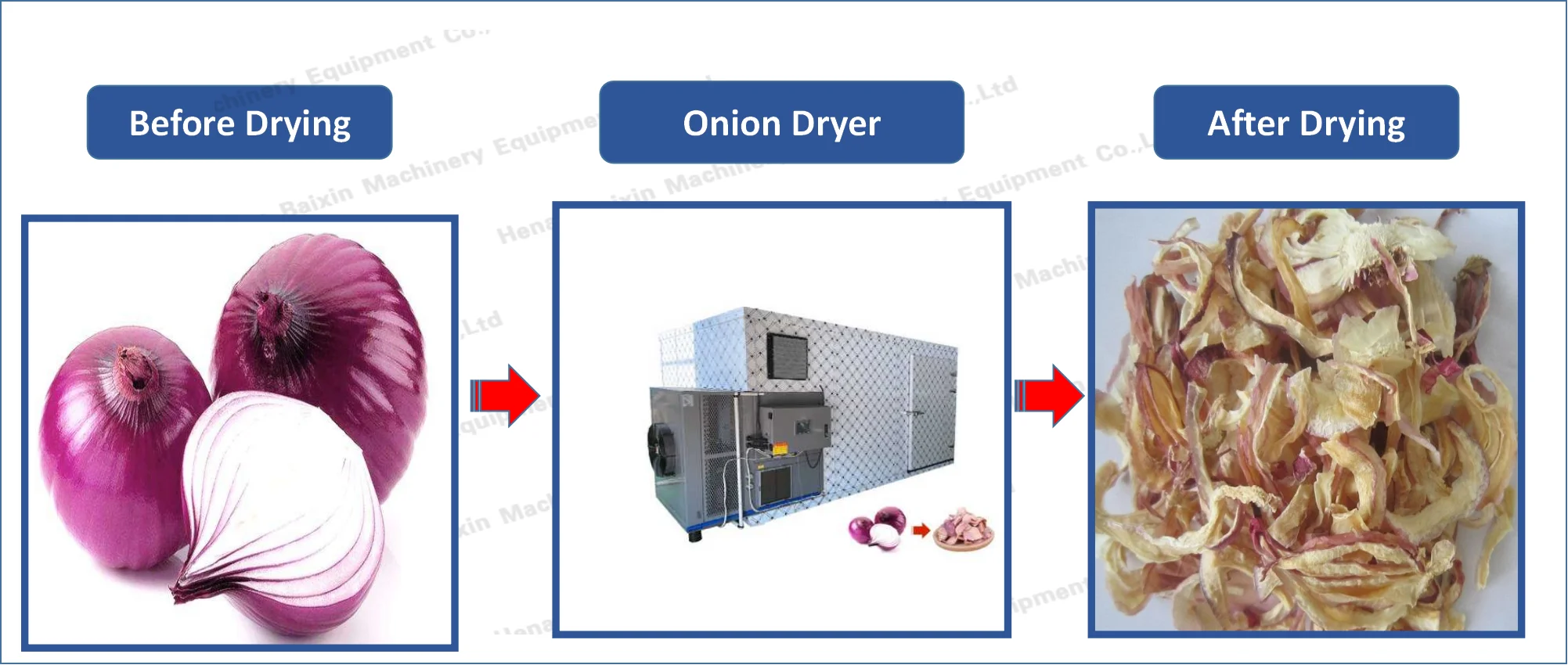 onion dryer 1.png