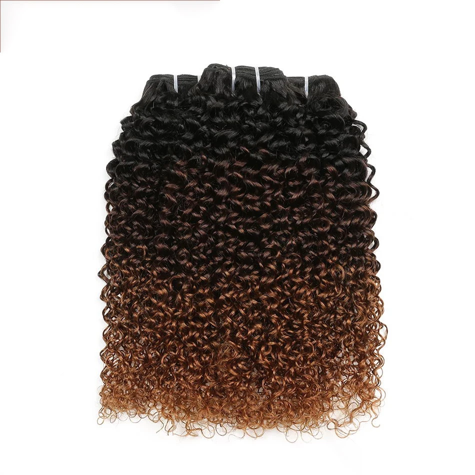 Ombre Cheap Raw Indian 100% Human Hair Kinky Curly Bundles With Closure Virgin Mink Brazilian Cuticle Aligned Hair Extensions