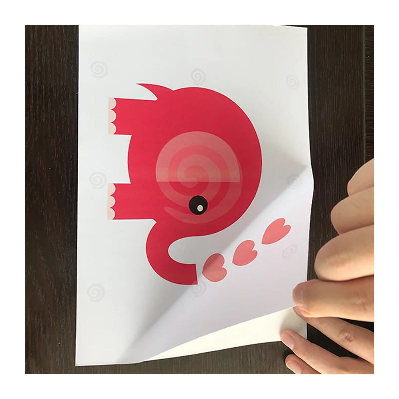 
Waterproof Pigment & Dye Inkjet Matte White Inkjet Printable Adhesive Vinyl Sheets 