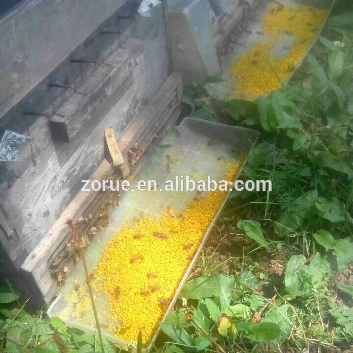 Bulk Qinghai Pure Bee Rape Pollen