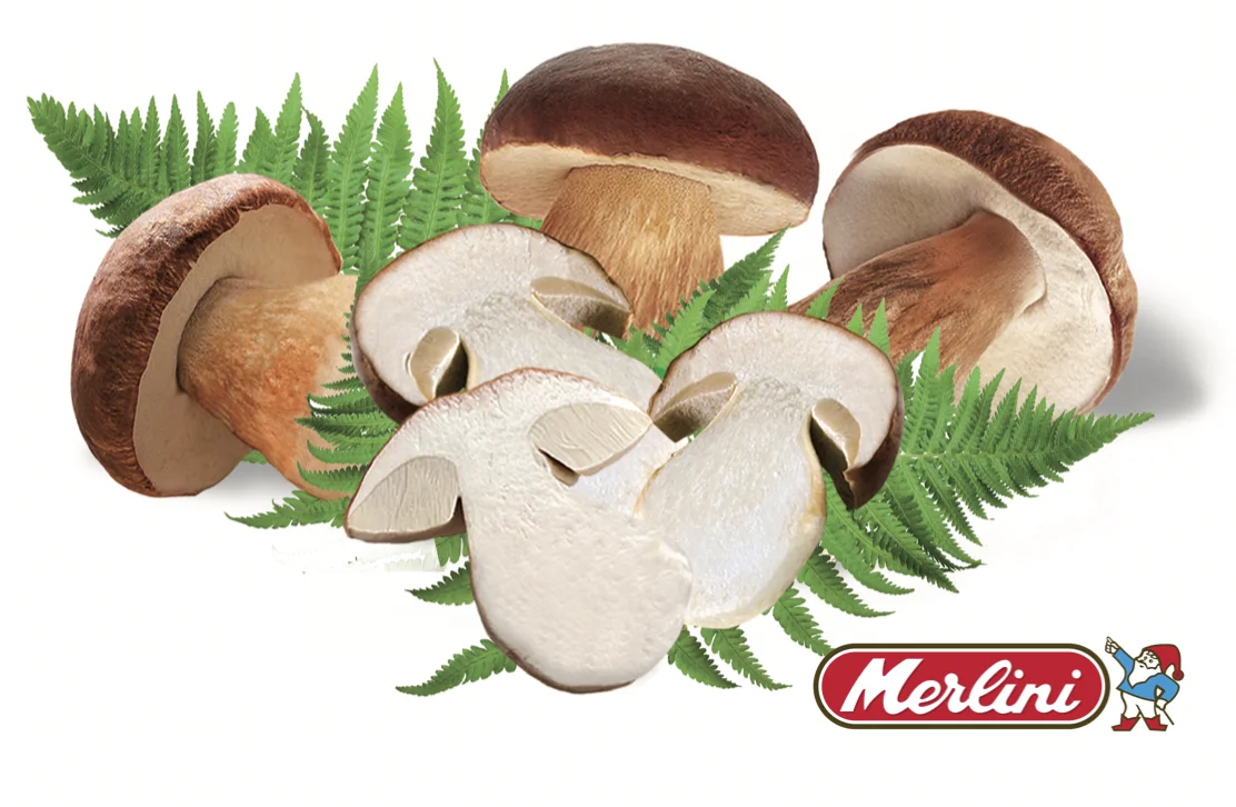 MUSHROOMS MIXED Wild and Coultivated Brc Ifs Sedex Made in Italy 1000g Brown 1 Kg Mixed Mushrooms with Porcini Dried