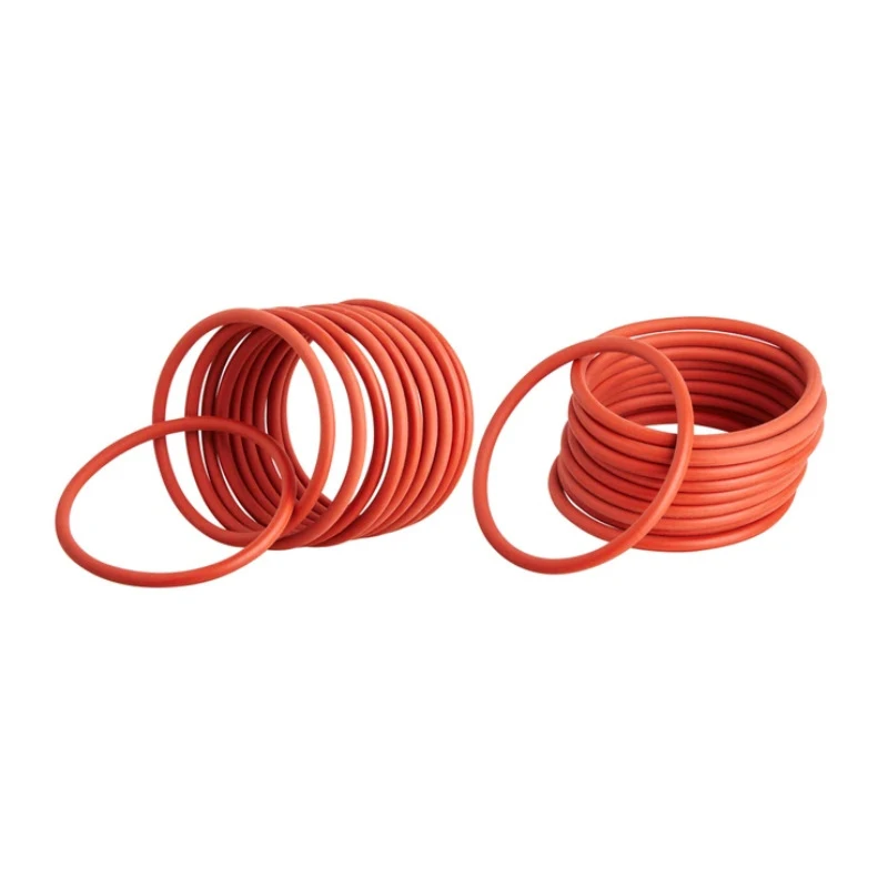Various FKM Silicone O-Ring Seals O-Ring Gasket