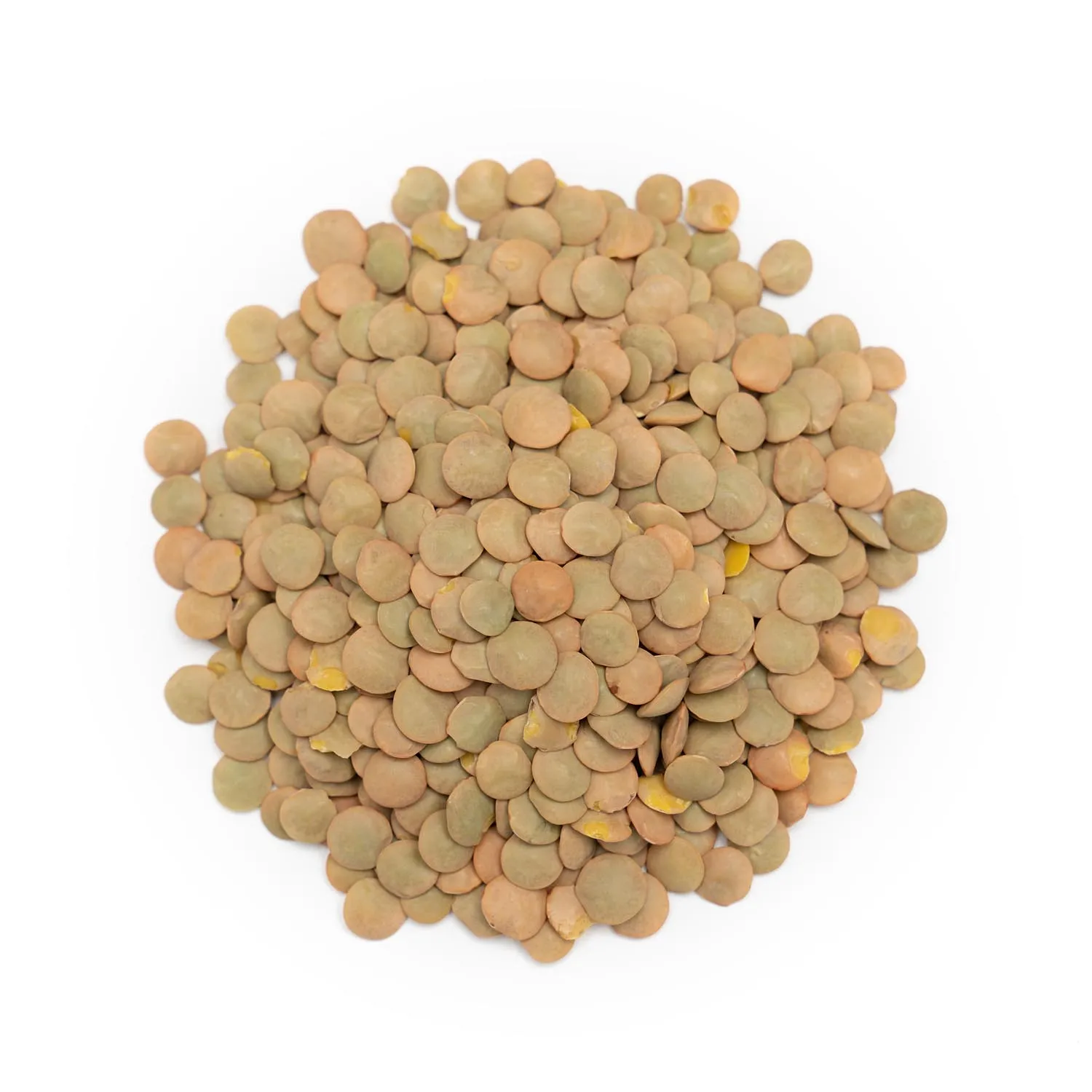 Green Lentils Kazakhstan Wholesale Natural Organic First Grade Green Lentil Beans 50 Kg Bag Packaging