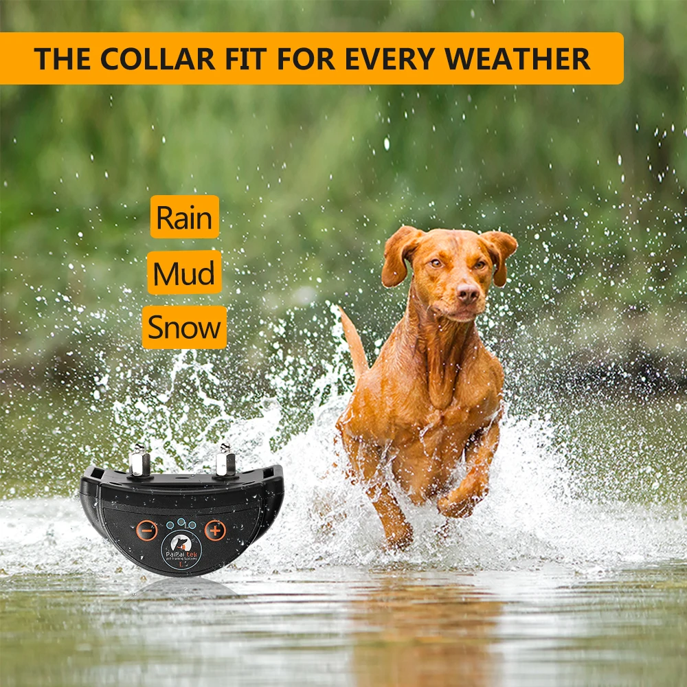 Amazon Top 10 rechargeable anti bark E collar stays para perros for medium and large dogs