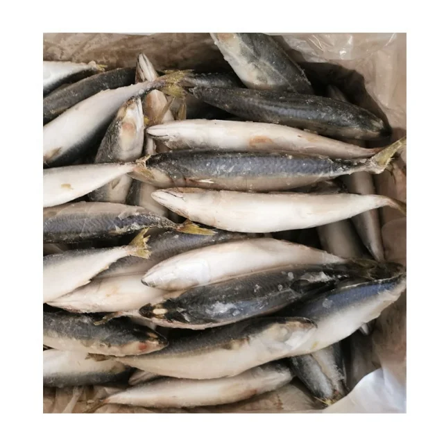  Горячая Распродажа замороженная Тихоокеанская скумбрия