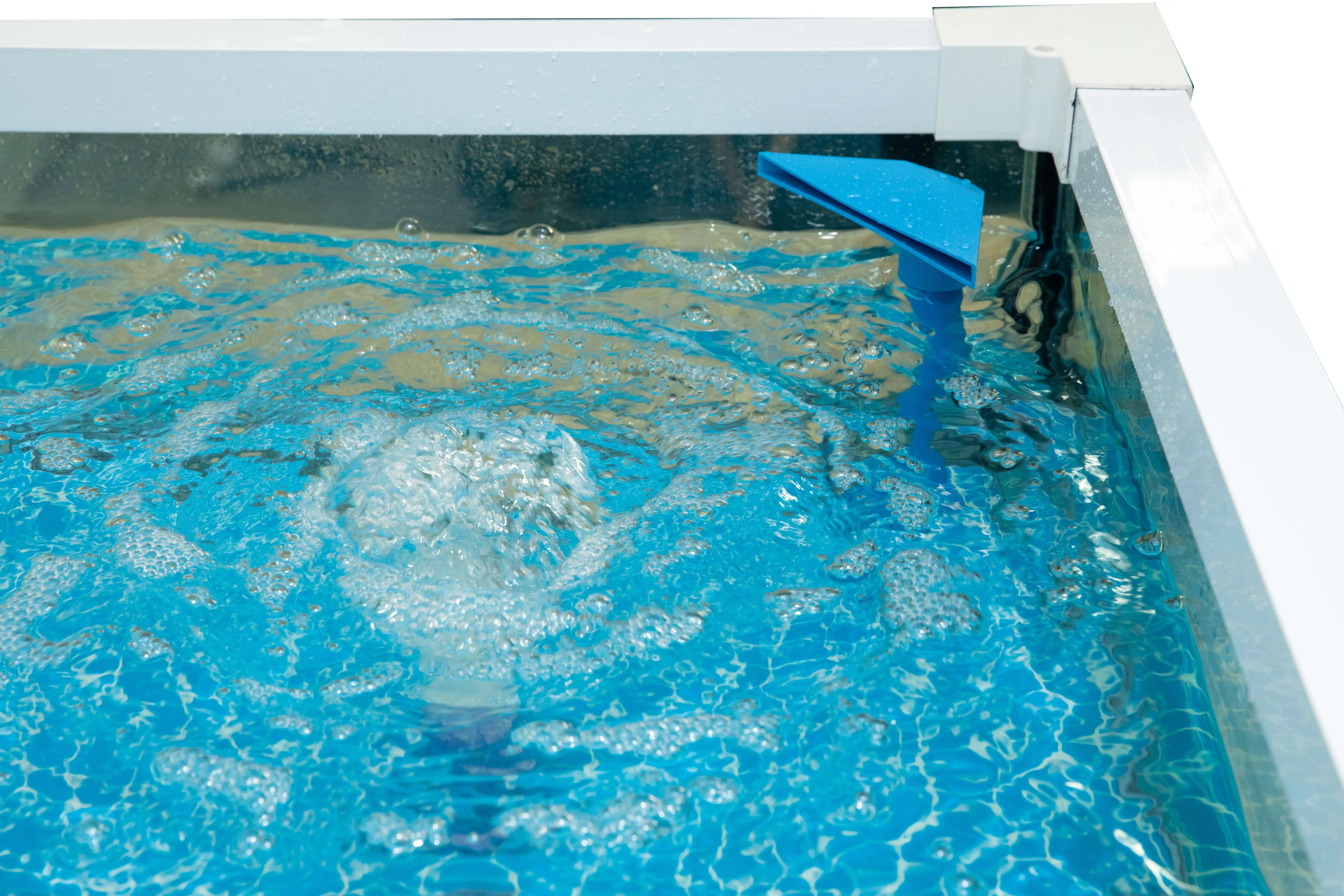 Supermarket or Restaurant Seafood  Lobster Tilapia Crab Live Fish Tank for sale