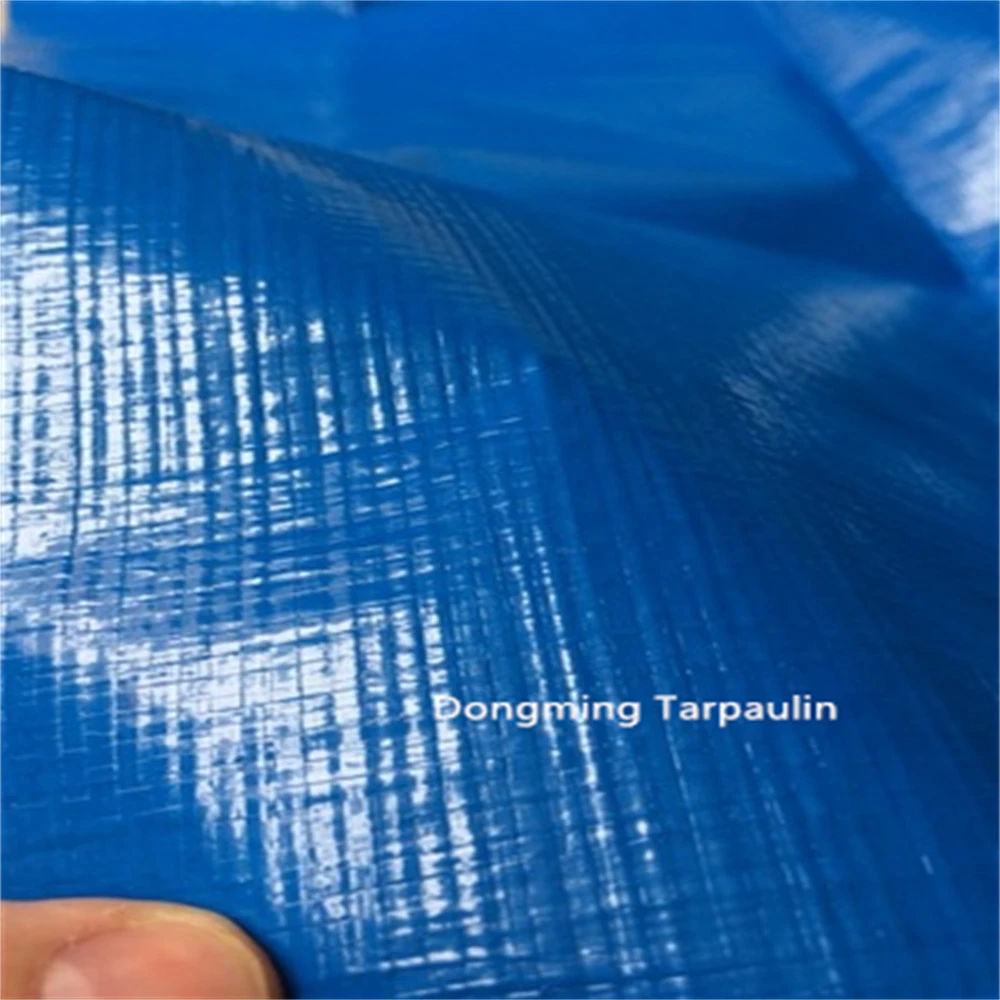 Factory Supply Blue 50gsm Light Weight PE Tarpaulin Plastic Tarpaulin Canvas Price for General Purpose Dust Sheet