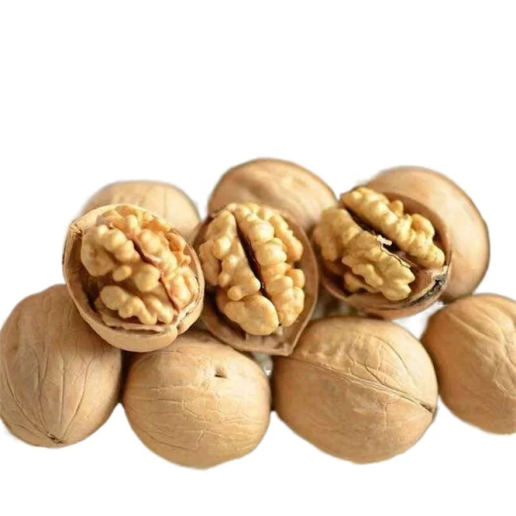 Supply Lowest Price Plant Walnut Kernels and Rich Nutrition Walnut Snacks from Xinjiang