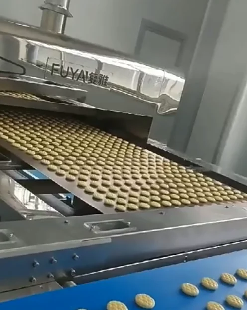 450 kg/h Automatic Tunnel Oven/ Maamoul Production Line