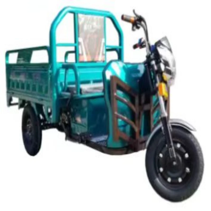 2022 China cheaper adult tricycle 60V 20Ah-50Ah electric tricycle with cargo electric motorcycle EU warehouse spot sale