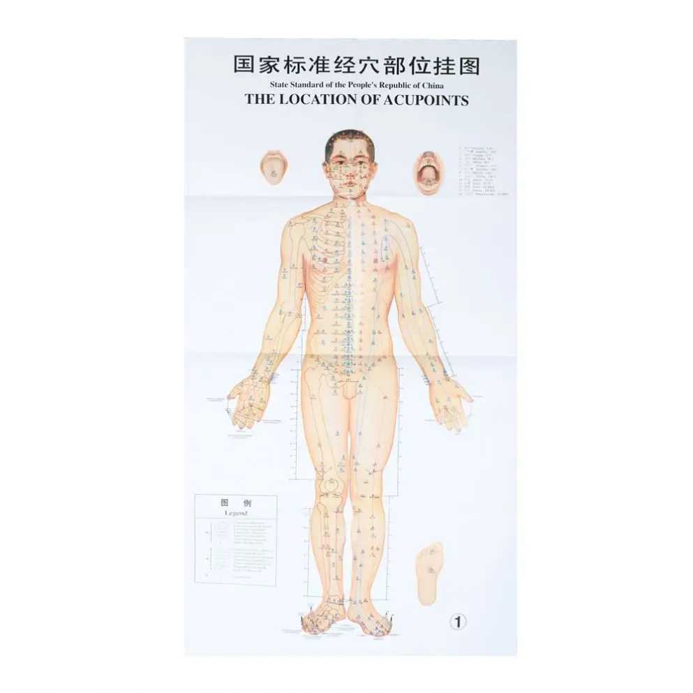 Standard Country Acupoint Wall Chart Human Body Acupuncture Points Meridian Map Teaching Chart