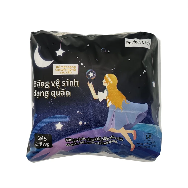 Southeast Asia Style Sanitary Pant Period Panties Underwear Menstrual Pants Overnight