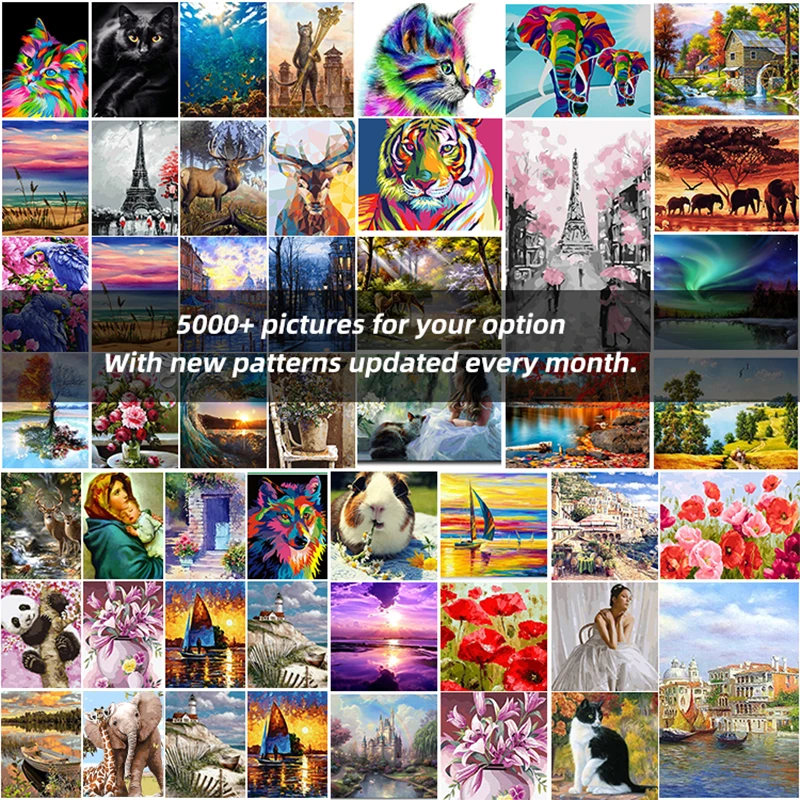 Cheap Price Paint by Numbers With Frame Adult and Kids Painting By Numbers Kit