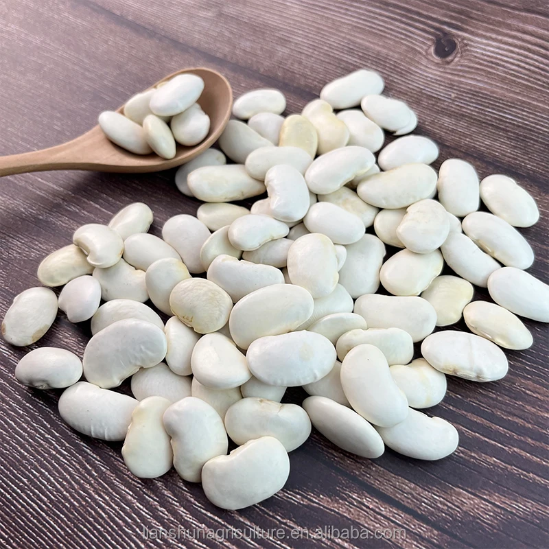 Hot Selling Factory price wholesale white kidney beans