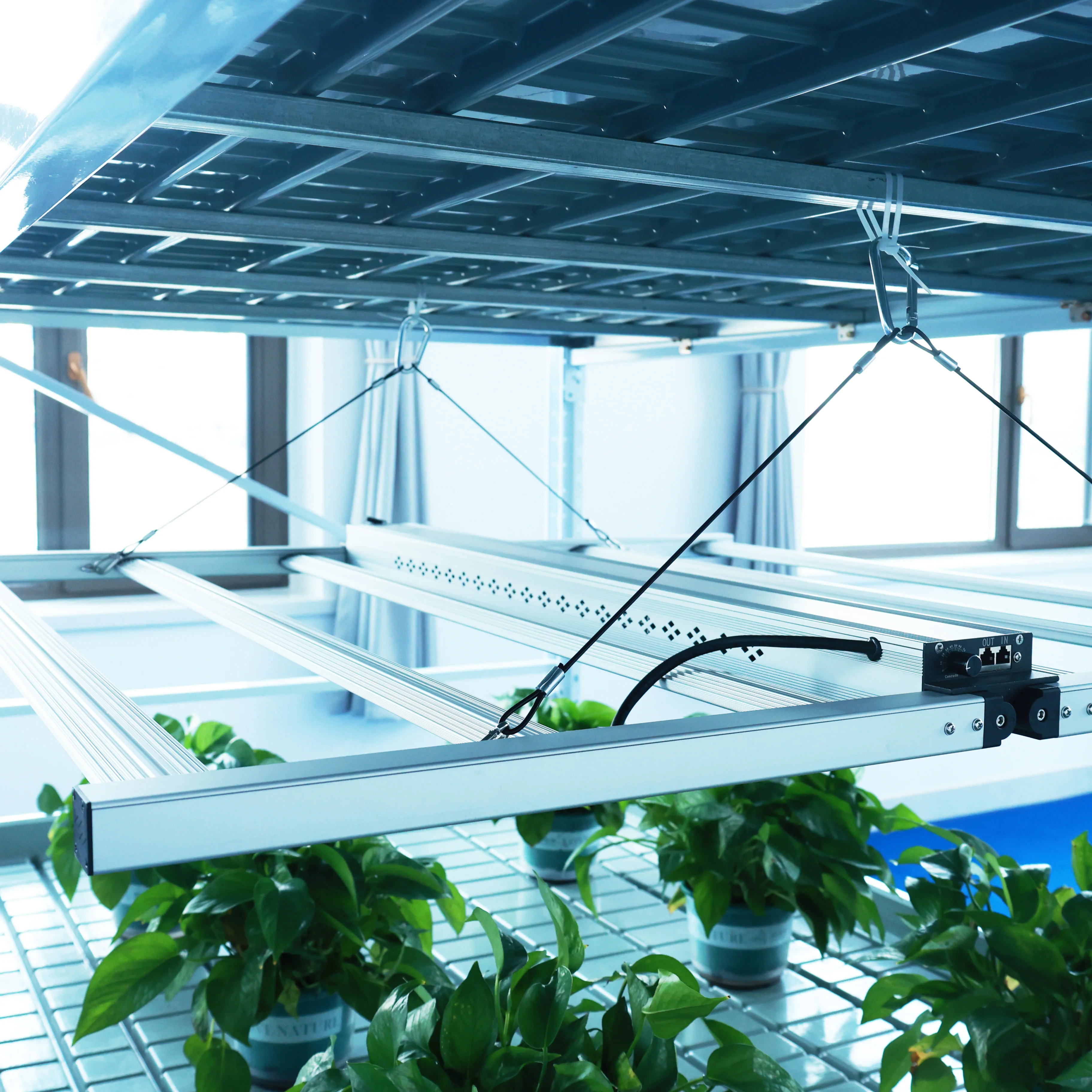 nursery seed grow bed greenhouse ebb and flow trays hydroponic rolling bench grow table