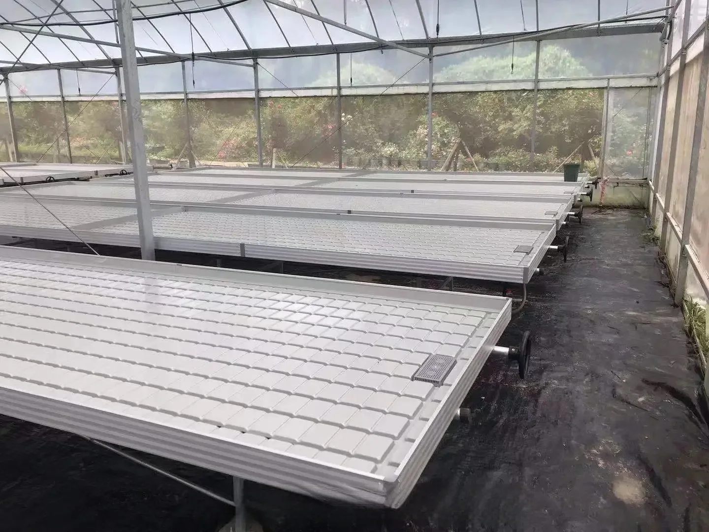 Hydroponic Pot Plant System Vertical Grow Rack and Flow Folling bench Vertical Grow Rack System Grow Trays for Greenhouse