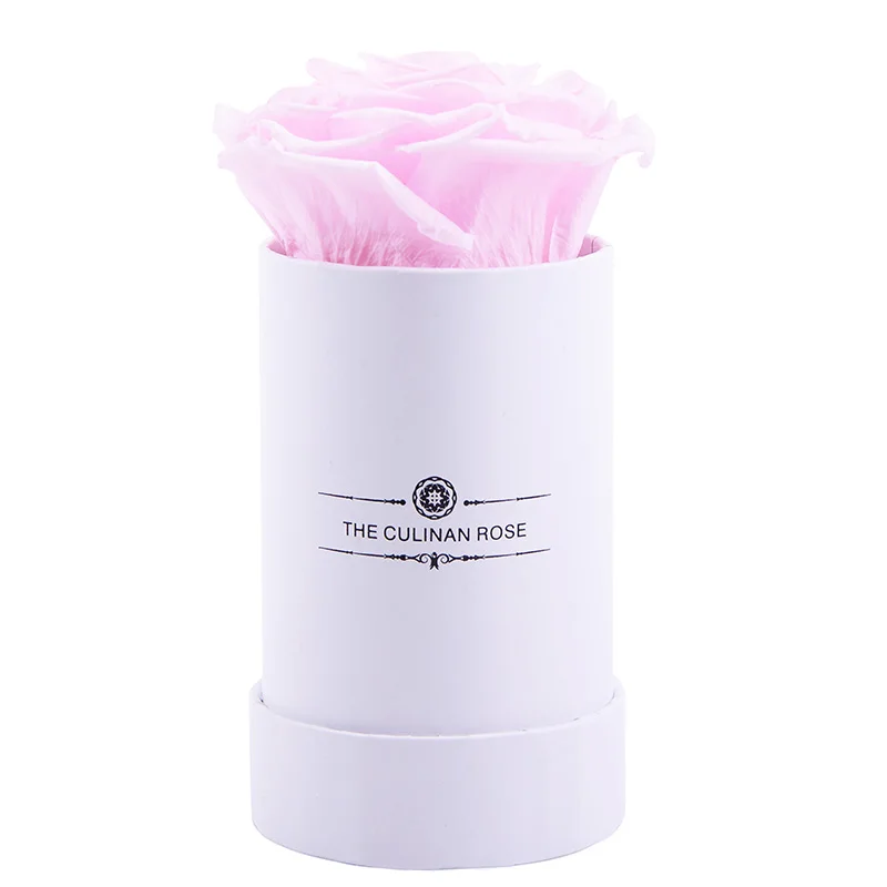 Culinan Low MOQ high quality preserved rose gift for Valentine Day