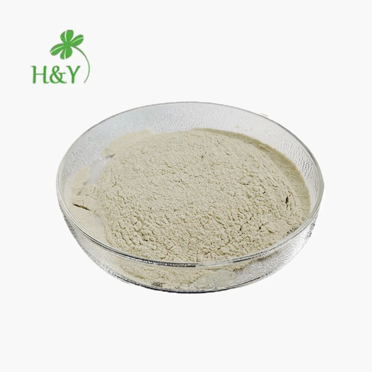 Натуральный морской мох chondrus crispus лидер продаж порошок ирландского Моха поставщик