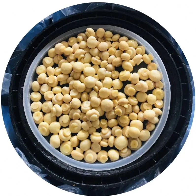 
shiitake champignons in brine 