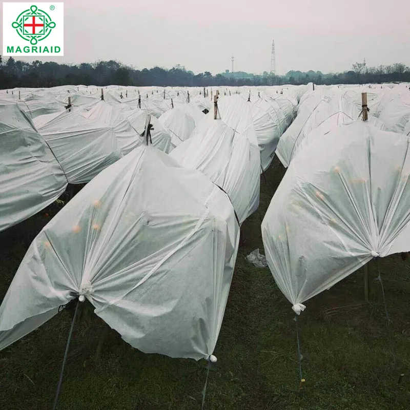 biodegradable pp non woven fabric banana bunch cover bag grape protection bag