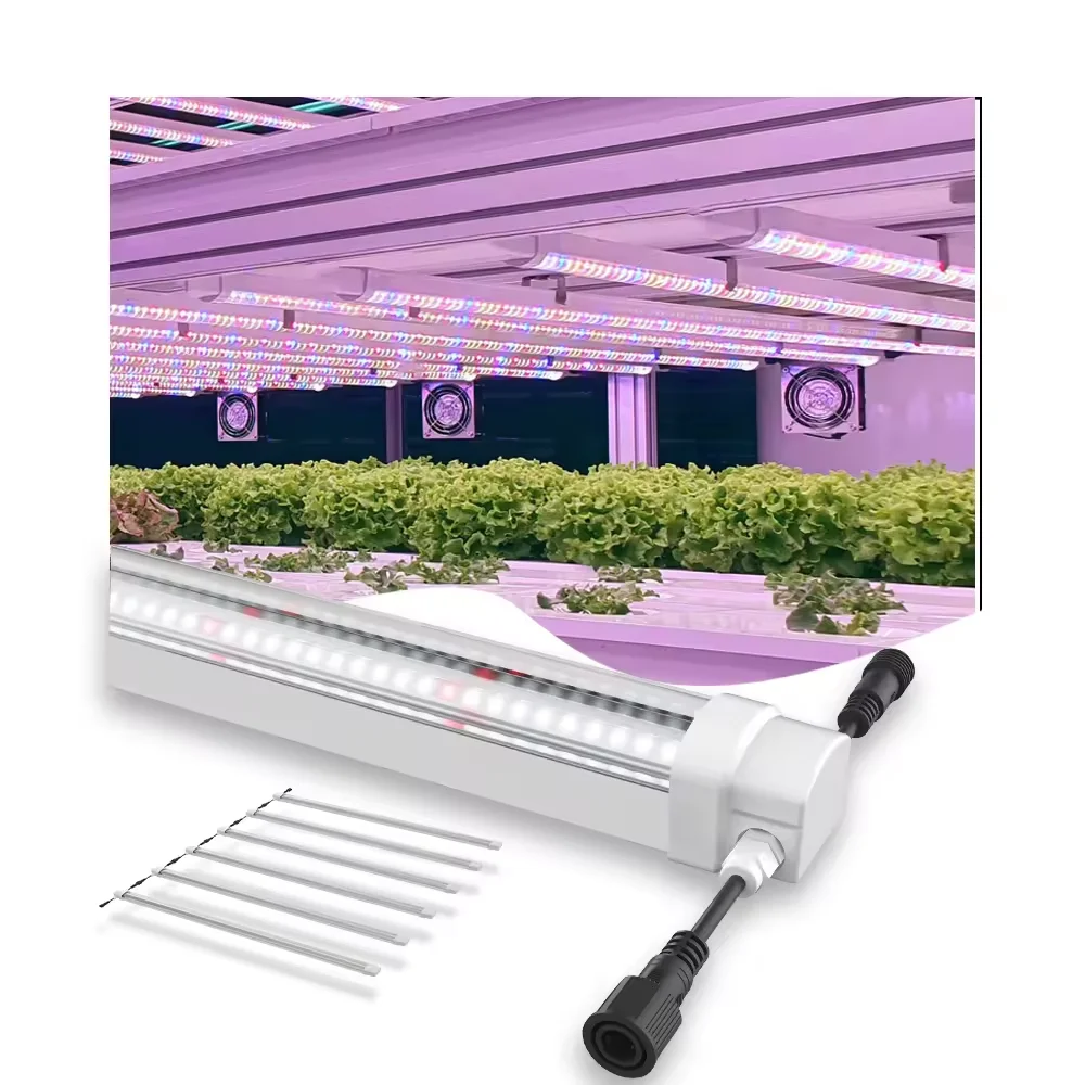LoyalShine T8 Customized Full spectrum Plant tube for indoor Greenhouse Hydroponic lettuce Grow LED Light