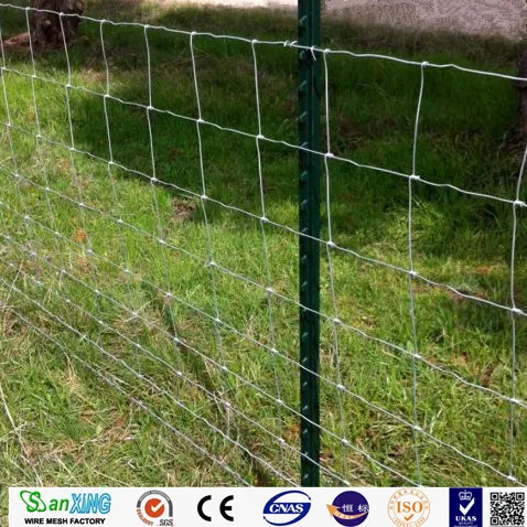 American Farm 6 ft t-post Galvanized T grape stake Fence picket iron Green metal farm T post fence post for sale