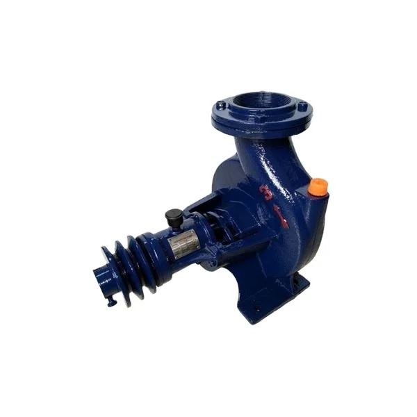 Philippine centrifugal pump TS pump 2/3/4 inch copper impeller